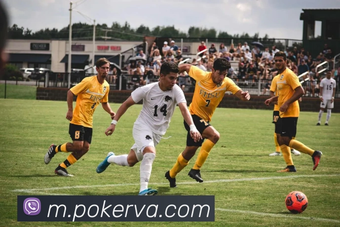 德州扑克官网平台生态图